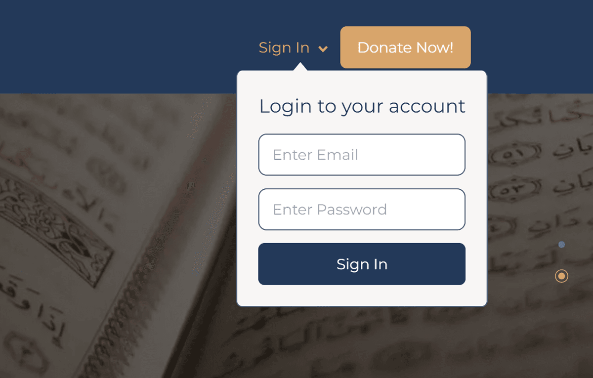 Authentication Login Interface