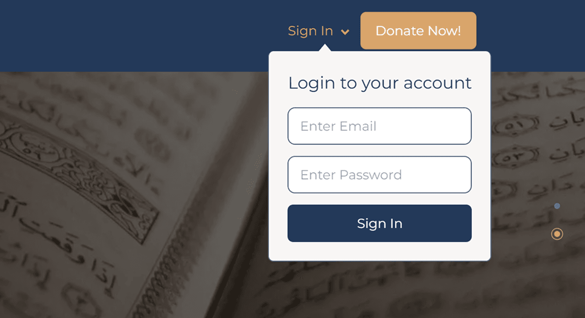 Authentication Login Interface